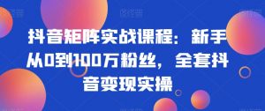 抖音矩阵实战课程：新手从0到100万粉丝，全套抖音变现实操-则成副业项目资源站