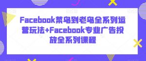 Facebook菜鸟到老鸟全系列运营玩法+Facebook专业广告投放全系列课程-则成副业项目资源站