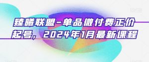 臻曦联盟-单品微付费正价起号，2024年1月最新课程-则成副业项目资源站