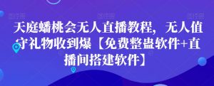 天庭蟠桃会无人直播教程，无人值守礼物收到爆【免费整蛊软件+直播间搭建软件】-则成副业项目资源站