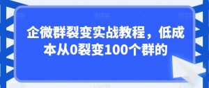 企微群裂变实战教程,低成本从0裂变100个群的-则成副业项目资源站