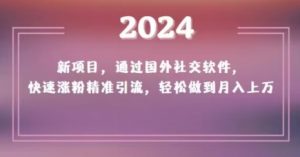 2024新项目,通过国外社交软件,快速涨粉精准引流,轻松做到月入上万【揭秘】-则成副业项目资源站