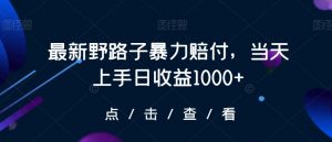 最新野路子暴力赔付，当天上手日收益1000+【仅揭秘】-则成副业项目资源站