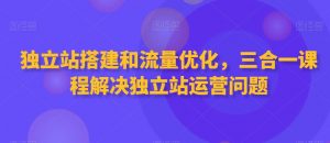 独立站搭建和流量优化,三合一课程解决独立站运营问题-则成副业项目资源站