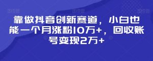 靠做抖音创新赛道,小白也能一个月涨粉10万+,回收账号变现2万+【揭秘】-则成副业项目资源站