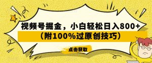 视频号掘金，小白轻松日入800+（附100%过原创技巧）【揭秘】-则成副业项目资源站