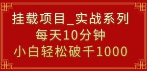 挂载项目，小白轻松破1000，每天10分钟，实战系列保姆级教程【揭秘】-则成副业项目资源站