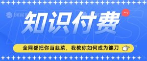 2024最新知识付费项目,小白也能轻松入局,全网都在教你做项目,我教你做镰刀【揭秘】-则成副业项目资源站