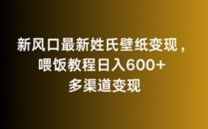 新风口最新姓氏壁纸变现，喂饭教程日入600+【揭秘】-则成副业项目资源站