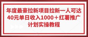 年度最豪拉新项目拉新一人可达40元单日收入1000＋红薯推广计划实操教程【揭秘】-则成副业项目资源站