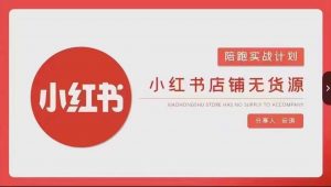 安琪-小红书店铺无货源实战，开店到售后全流程操作-则成副业项目资源站