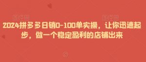 2024拼多多日销0-100单实操，让你迅速起步，做一个稳定盈利的店铺出来-则成副业项目资源站
