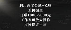 利用淘宝公域+私域差价掘金，日赚1000-5000元，工作室可放大操作，实操稳定半年【揭秘】-则成副业项目资源站