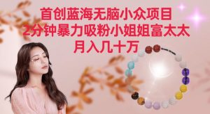 首创蓝海无脑小众项目，2分钟暴力吸粉小姐姐富太太，月入几十万【揭秘】-则成副业项目资源站