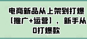 电商新品从上架到打爆【推广+运营】,新手从0打爆款-则成副业项目资源站