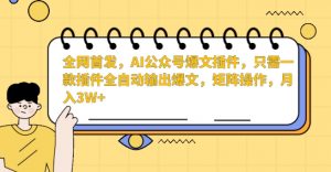 全网首发，AI公众号爆文插件，只需一款插件全自动输出爆文，矩阵操作，月入3W+【揭秘】-则成副业项目资源站