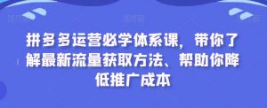 拼多多运营必学体系课，带你了解最新流量获取方法、帮助你降低推广成本-则成副业项目资源站