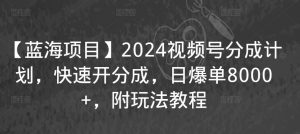 【蓝海项目】2024视频号分成计划，快速开分成，日爆单8000+，附玩法教程-则成副业项目资源站