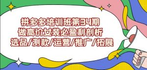 拼多多培训班第34期：做高价女装必盈利剖析选品/测款/运营/推广/拓展-则成副业项目资源站