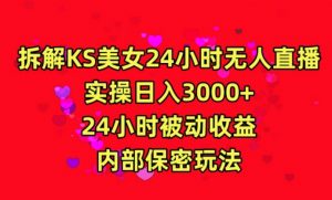 利用快手24小时无人美女直播,实操日入3000,24小时被动收益,内部保密玩法【揭秘】-则成副业项目资源站