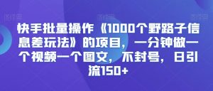 快手批量操作《1000个野路子信息差玩法》的项目，一分钟做一个视频一个图文，不封号，日引流150+【揭秘】-则成副业项目资源站