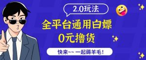 外面收费2980的全平台通用白嫖撸货项目2.0玩法【仅揭秘】-则成副业项目资源站