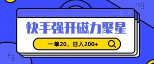 信息差赚钱项目，快手强开磁力聚星，一单20，日入200+【揭秘】-则成副业项目资源站