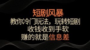 短剧风暴，教你冷门玩法，玩转短剧，收钱收到手软【揭秘】-则成副业项目资源站