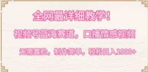 全网最详细教学，视频号蓝海赛道，口播情感视频，无需露脸，制作简单，轻松实现日入1000+【揭秘】-则成副业项目资源站