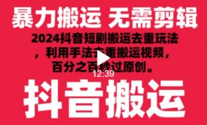 2024最新抖音搬运技术，抖音短剧视频去重，手法搬运，利用工具去重，达到秒过原创的效果【揭秘】-则成副业项目资源站