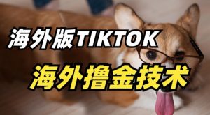 抖音海外版tiktok撸金技术,这个风口行业,赚钱真的不难【揭秘】-则成副业项目资源站