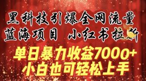 蓝海项目!黑科技引爆全网流量小红书拉新,单日暴力收益7000+,小白也能轻松上手【揭秘】-则成副业项目资源站
