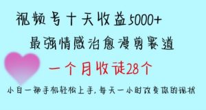 十天收益5000+,多平台捞金,视频号情感治愈漫剪,一个月收徒28个,小白一部手机轻松上手【揭秘】-则成副业项目资源站