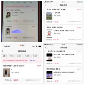 2024年3月最新,快手磁力聚星全流程实操教学,8台手机日均收益稳定100~200元【揭秘】-则成副业项目资源站