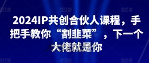 2024IP共创合伙人课程，手把手教你“割韭菜”，下一个大佬就是你-则成副业项目资源站