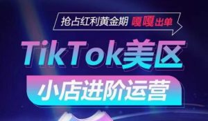 TikTok Shop美区小店进阶运营，抢占红利黄金期 嘎嘎出单-则成副业项目资源站