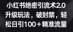 小红书绝密引流术2.0升级玩法,破封禁,轻松日引100+精准流量【揭秘】-则成副业项目资源站