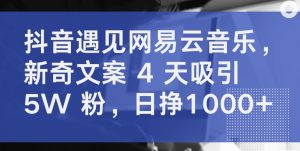 抖音遇见网易云音乐，新奇文案 4 天吸引 5W 粉，日挣1000+【揭秘】-则成副业项目资源站