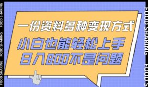 一份资料多种变现方式,小白也能轻松上手,日入800不是问题【揭秘】-则成副业项目资源站