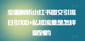 全面解析小红书图文引流日引100+私域流量是怎样做到的【揭秘】-则成副业项目资源站