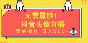 无需露脸，Ai头像直播项目，简单操作日入500+【揭秘】-则成副业项目资源站