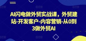 AI闪电做外贸实战课,外贸建站-开发客户-内容营销-从0到3做外贸AI-则成副业项目资源站