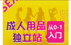 成人用品独立站从0-1入门，成品独立站运营全流程教学，七大好卖成品独立站推荐-则成副业项目资源站
