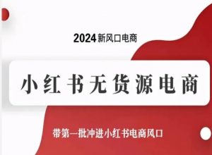 2024新风口电商,小红书无货源电商,带第一批冲进小红书电商风口-则成副业项目资源站