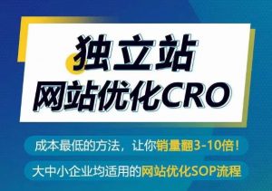 独立站网站优化CRO，成本最低的方法，让你销量翻3-10倍-则成副业项目资源站
