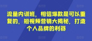 流量内训班,相信爆款是可以重复的,短视频营销大揭秘,打造个人品牌的利器-则成副业项目资源站