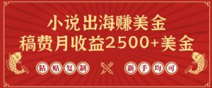 小说出海赚美金，稿费月收益2500+美金，仅需chatgpt粘贴复制，新手也能玩转【揭秘】-则成副业项目资源站