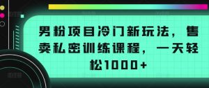 男粉项目冷门新玩法，售卖私密训练课程，一天轻松1000+【揭秘】-则成副业项目资源站