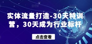 实体流量打造-30天特训营,30天成为行业标杆-则成副业项目资源站