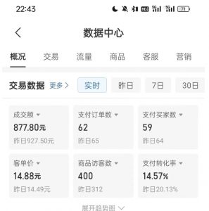 拼多多虚拟U盘电商红利项目:月赚2万+,新手小白也能玩-则成副业项目资源站
